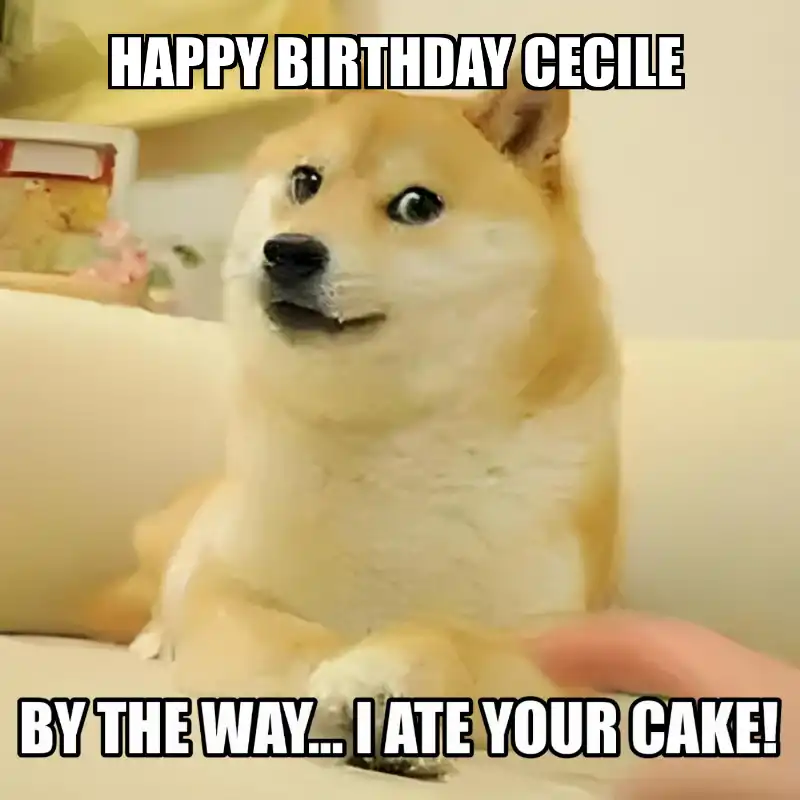 Happy Birthday Cecile BTW I Ate Your Cake Meme