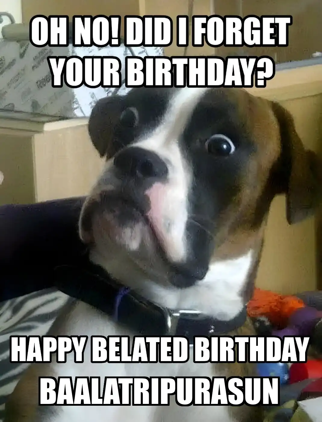 Happy Birthday Baalatripurasun Did I Forget Your Birthday Meme