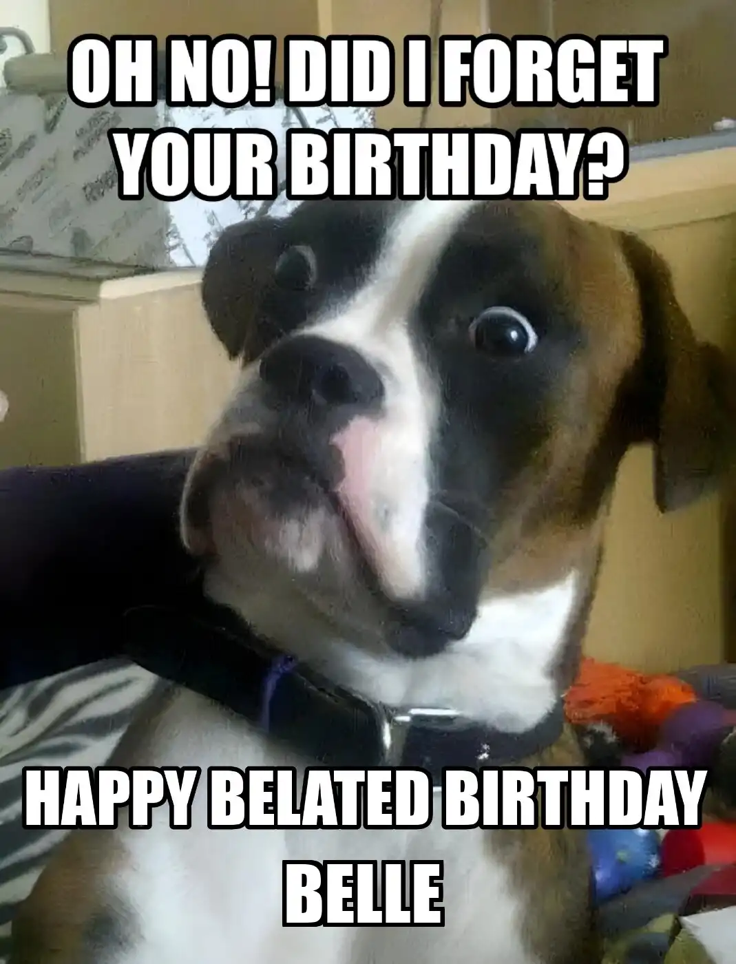 Happy Birthday Belle Did I Forget Your Birthday Meme