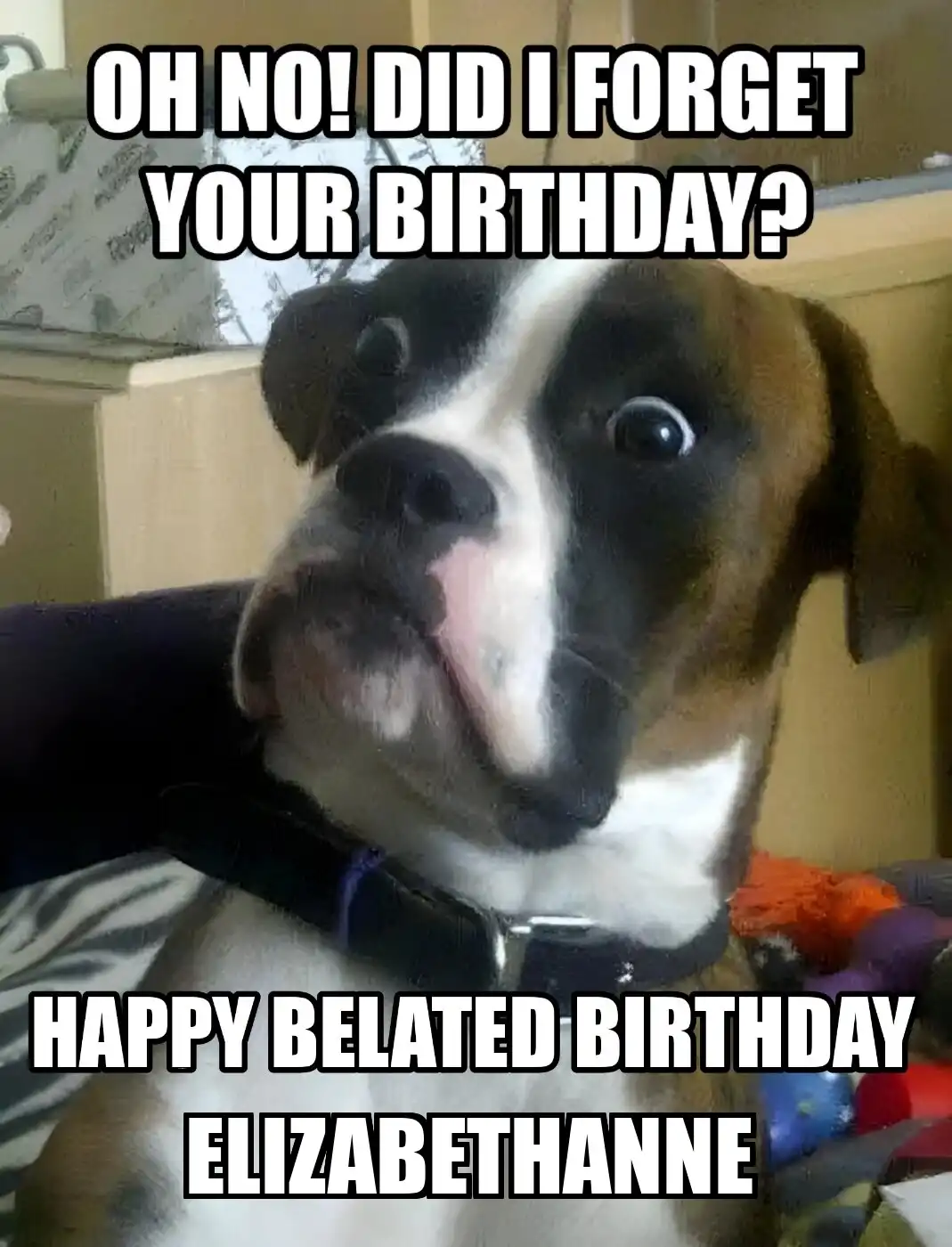 Happy Birthday Elizabethanne Did I Forget Your Birthday Meme