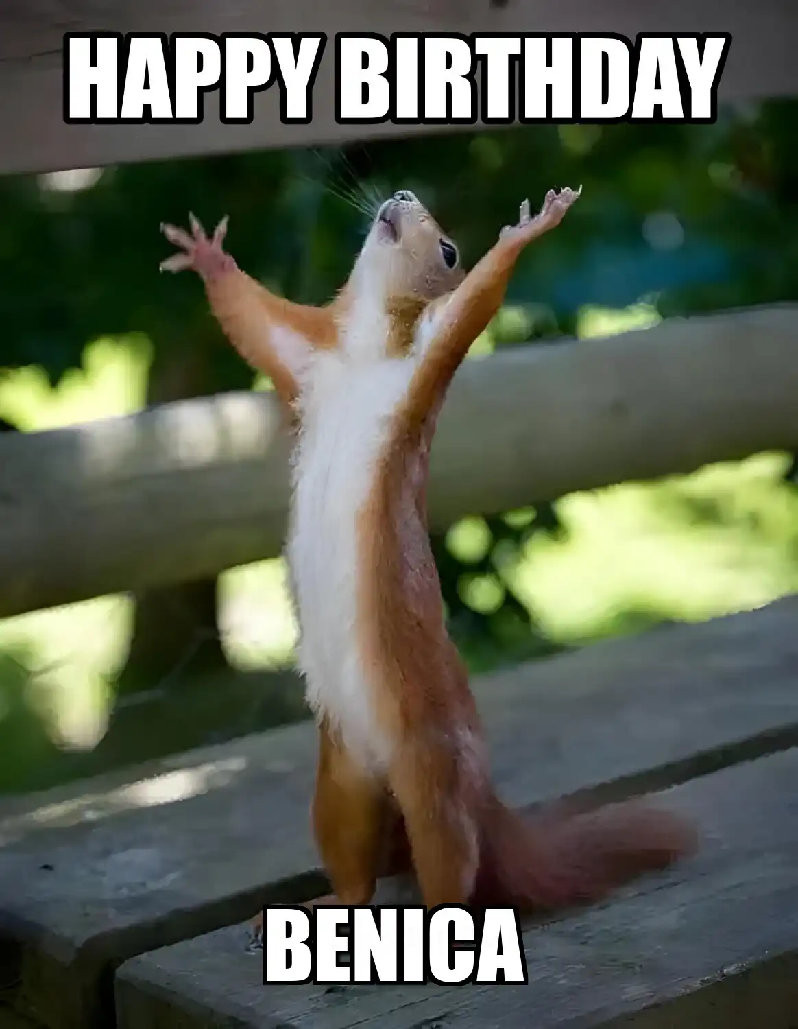 Happy Birthday Benica Happy Squirrel Meme