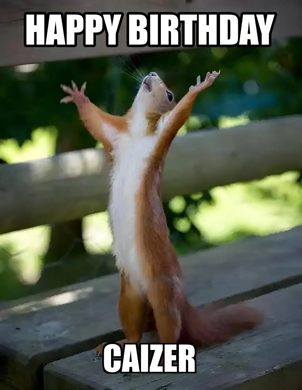 Happy Birthday Caizer Happy Squirrel Meme
