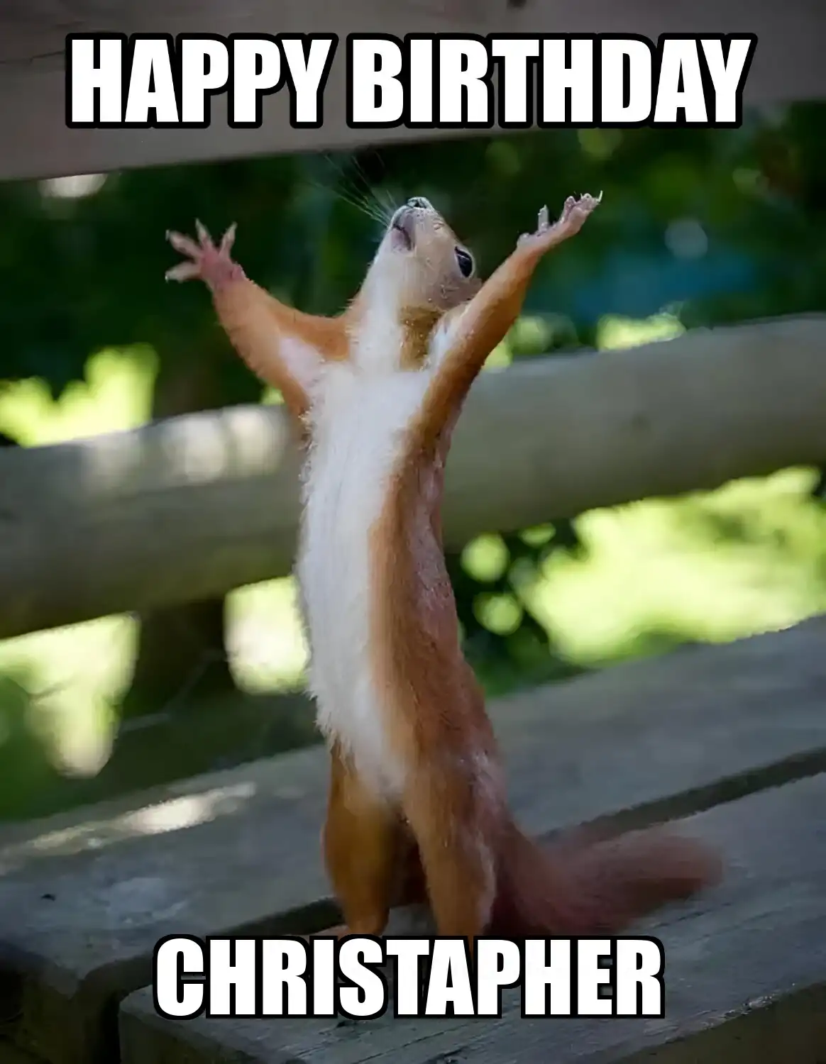Happy Birthday Christapher Happy Squirrel Meme