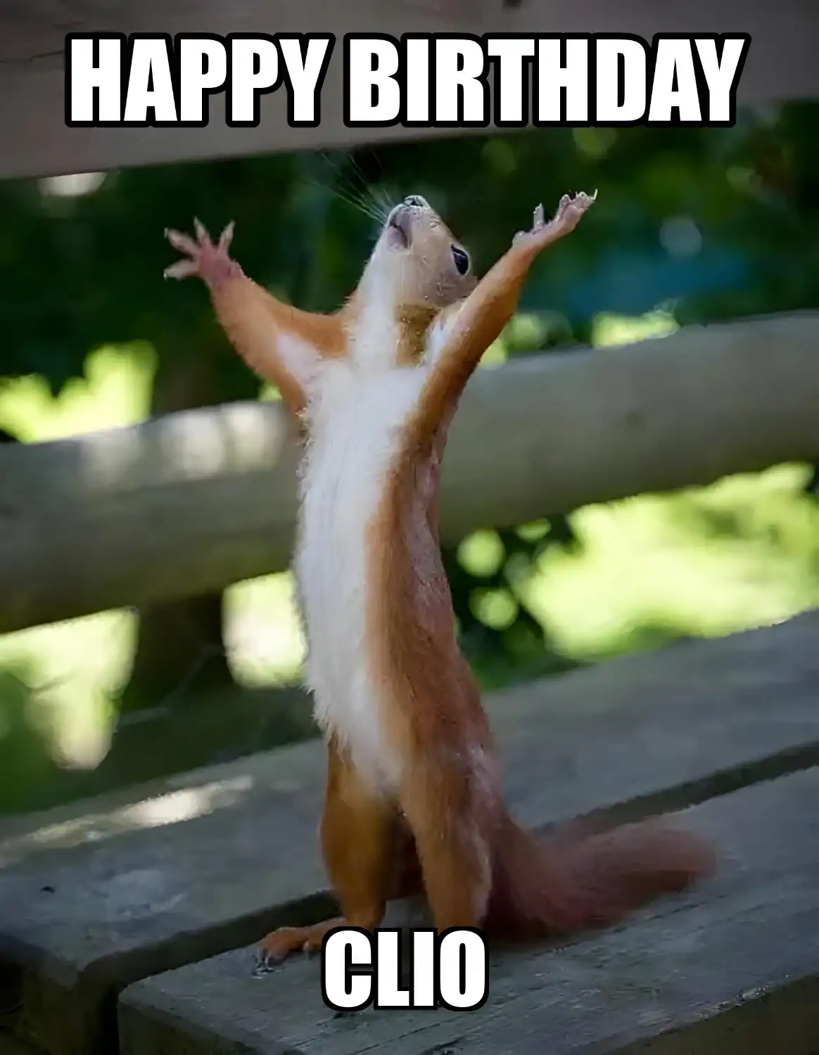 Happy Birthday Clio Happy Squirrel Meme