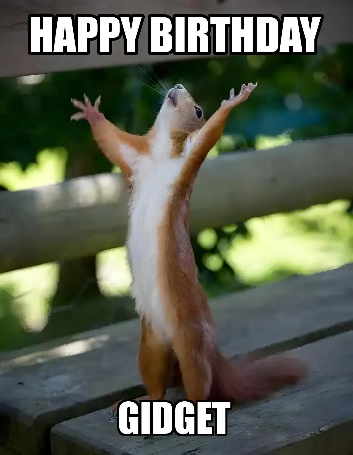 Happy Birthday Gidget Happy Squirrel Meme
