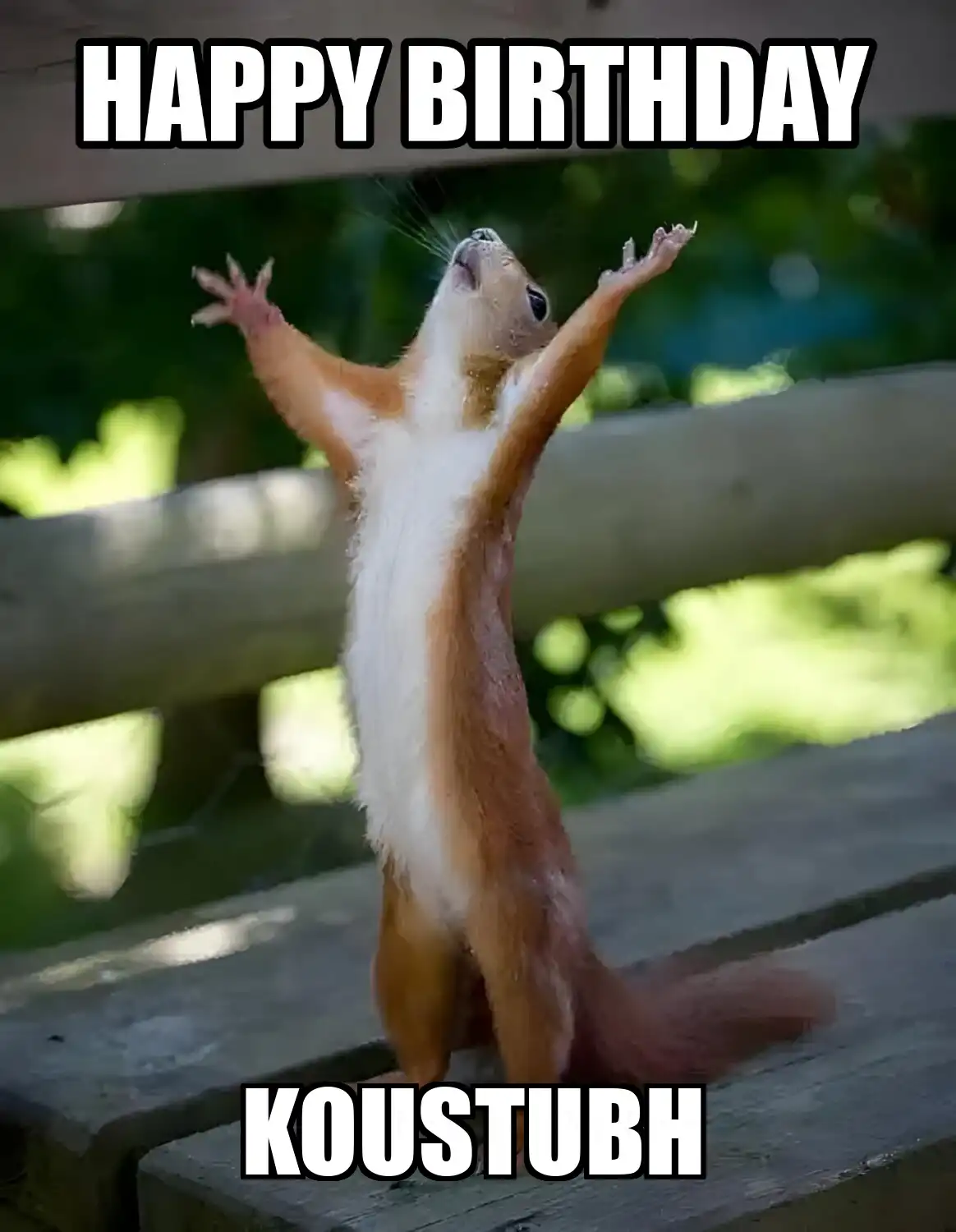 Happy Birthday Koustubh Happy Squirrel Meme