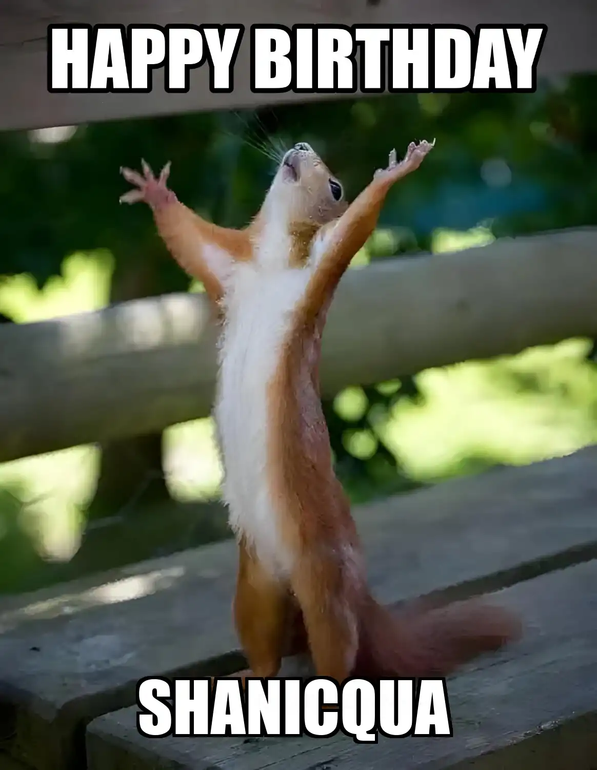 Happy Birthday Shanicqua Happy Squirrel Meme