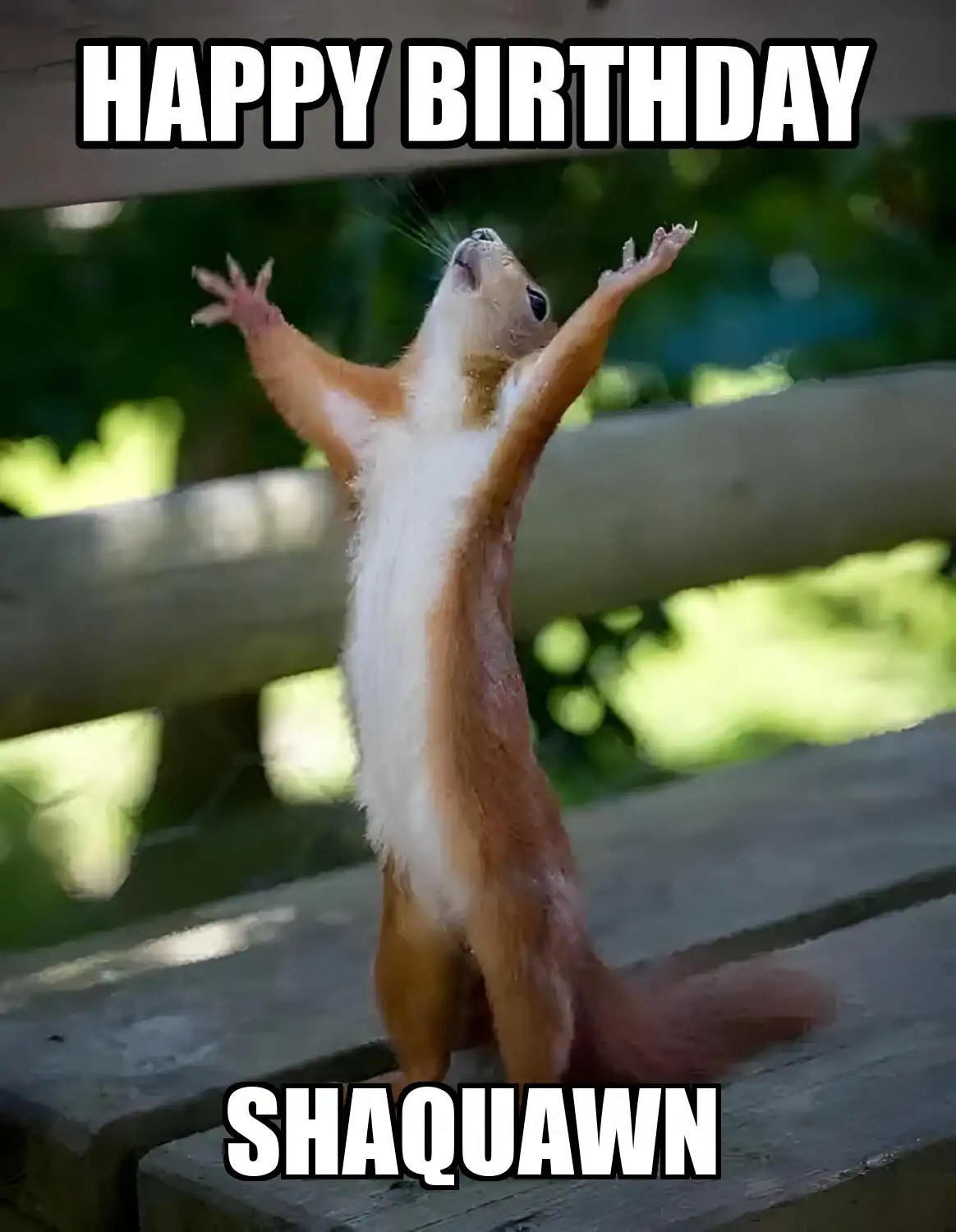 Happy Birthday Shaquawn Happy Squirrel Meme