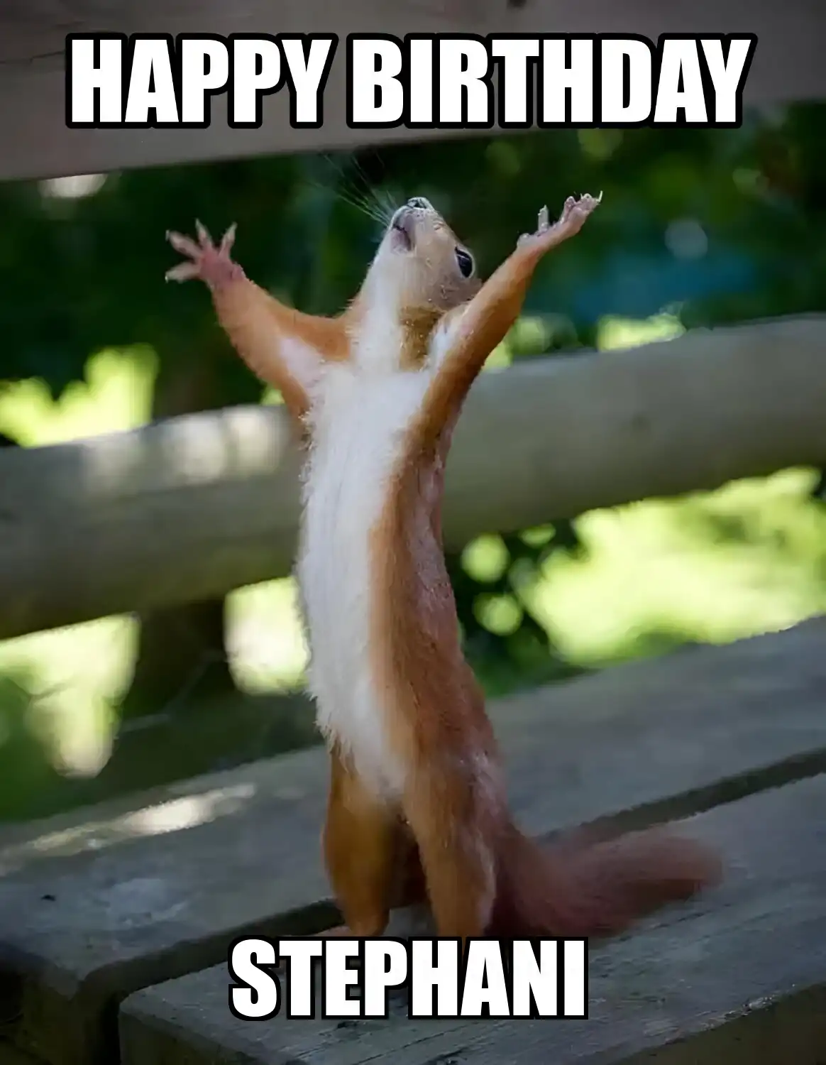 Happy Birthday Stephani Happy Squirrel Meme