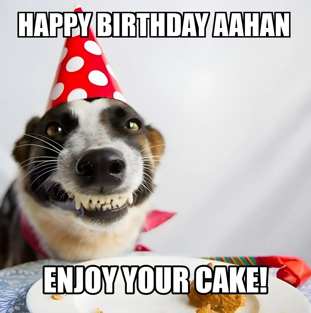Happy Birthday Aahan Enjoy Your Cake Dog Meme