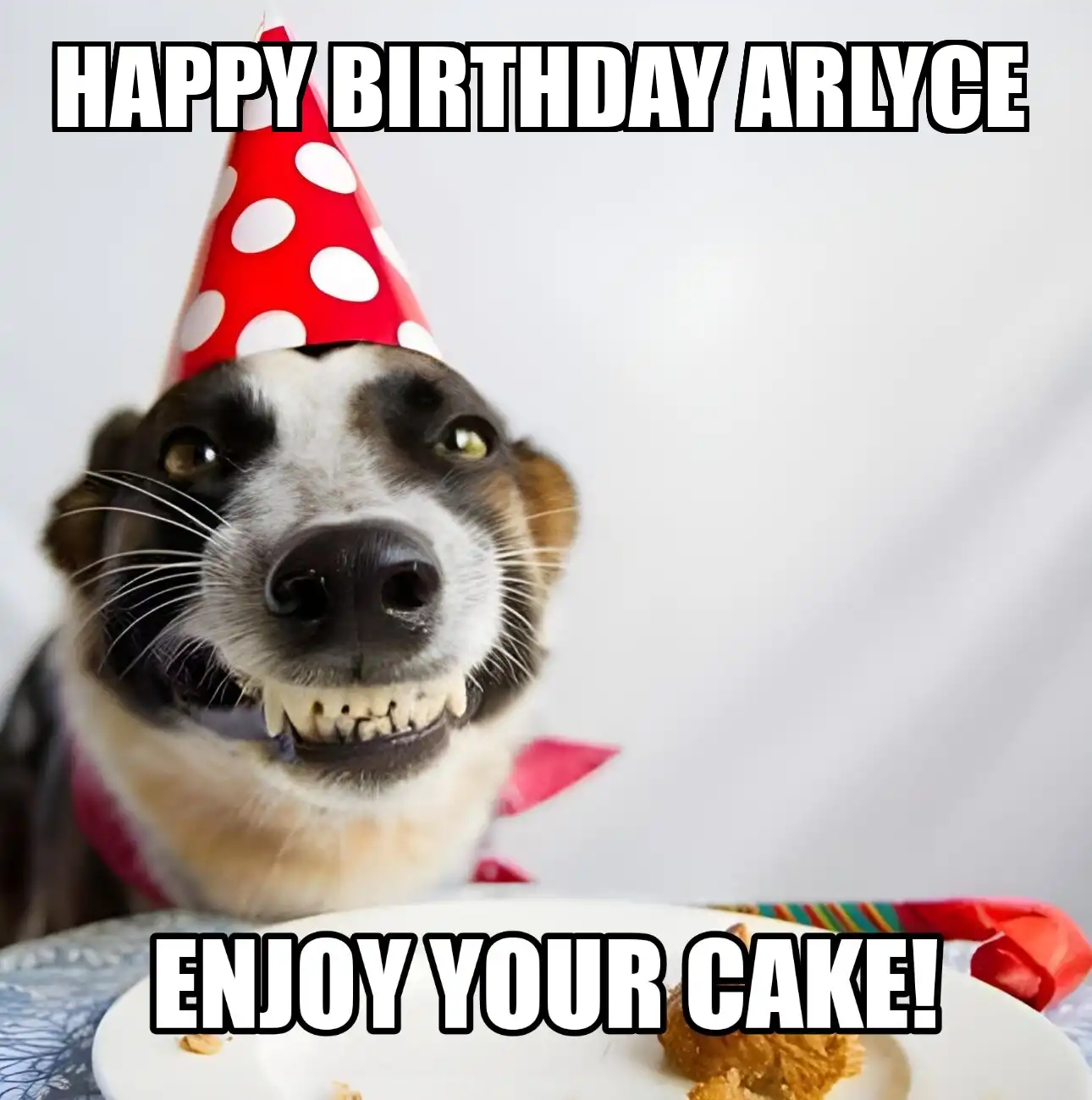 Happy Birthday Arlyce Enjoy Your Cake Dog Meme