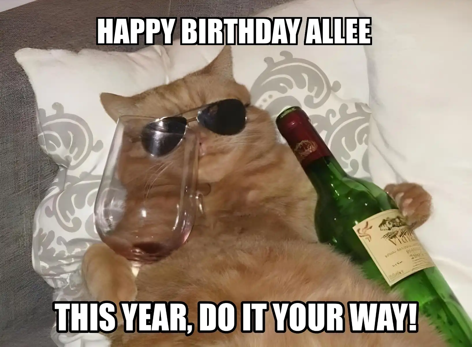 Happy Birthday Allee This Year Do It Your Way Meme