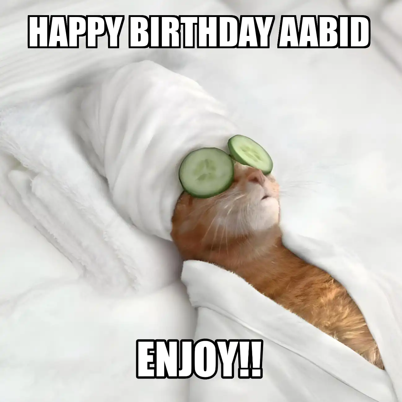 Happy Birthday Aabid Enjoy Cat Meme