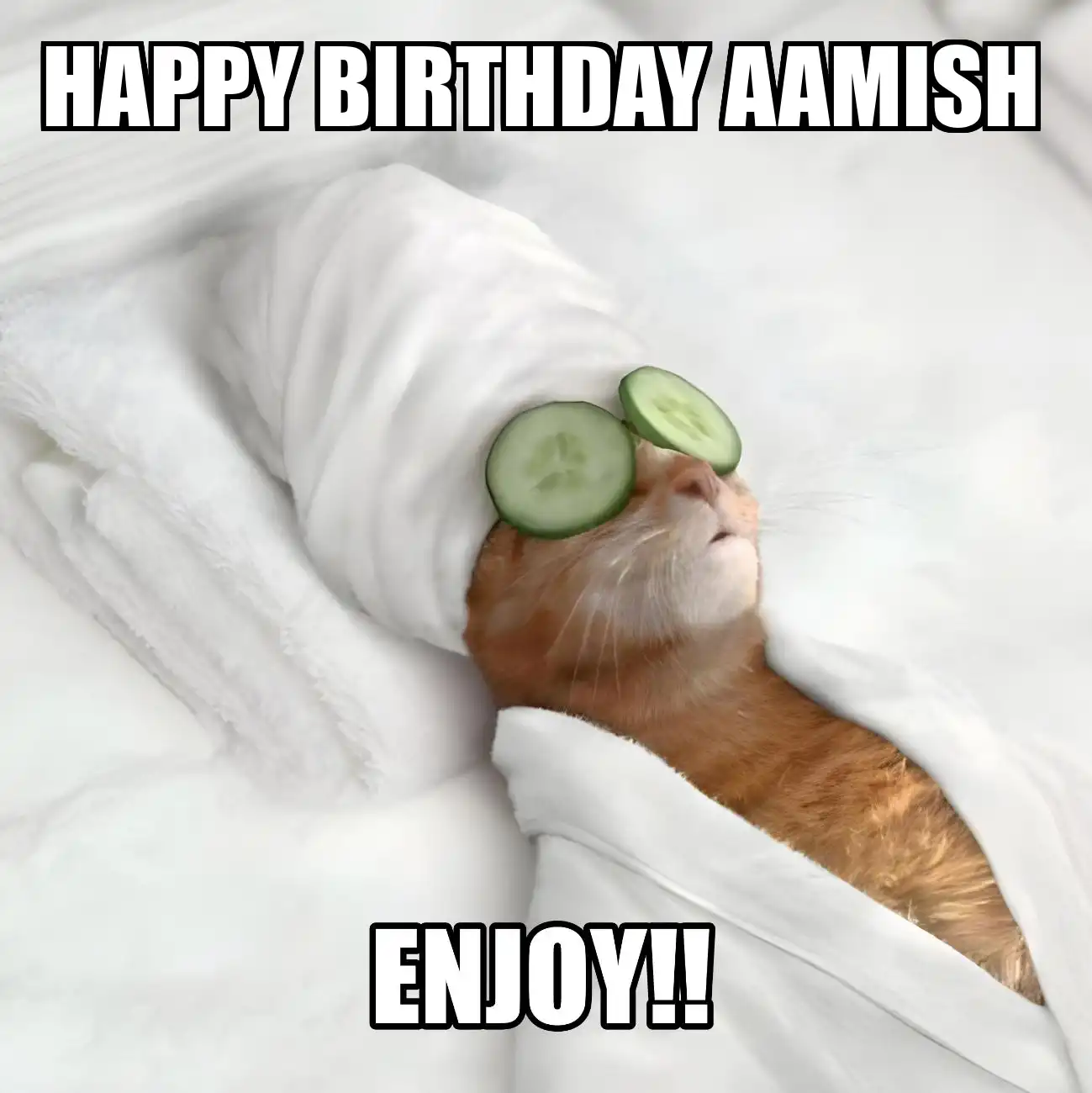 Happy Birthday Aamish Enjoy Cat Meme