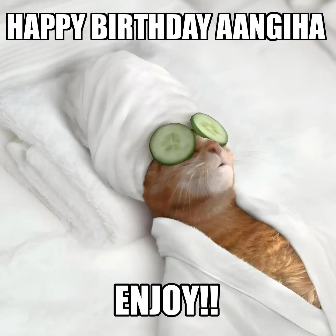 Happy Birthday Aangiha Enjoy Cat Meme