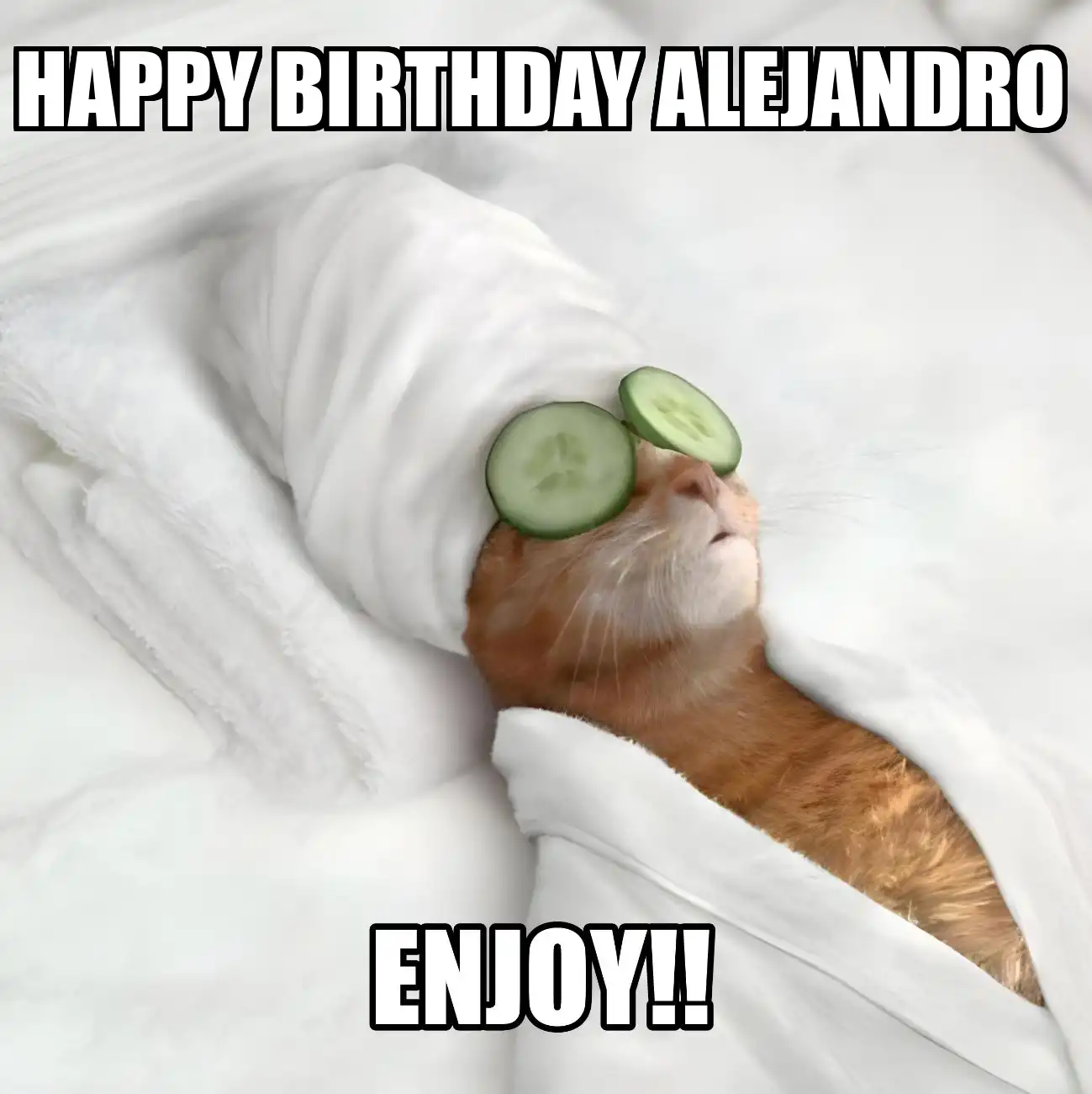 Happy Birthday Alejandro Enjoy Cat Meme