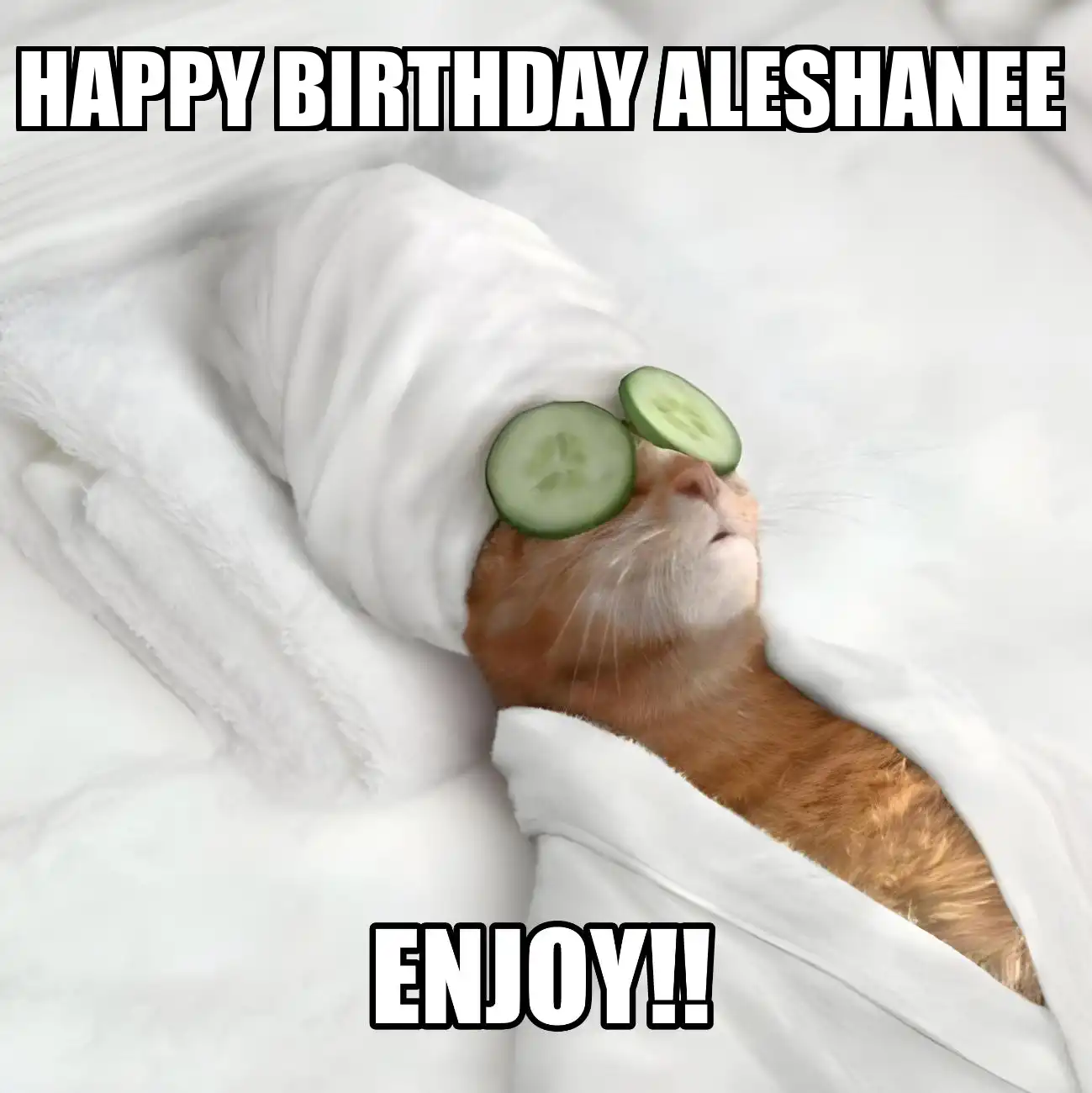 Happy Birthday Aleshanee Enjoy Cat Meme