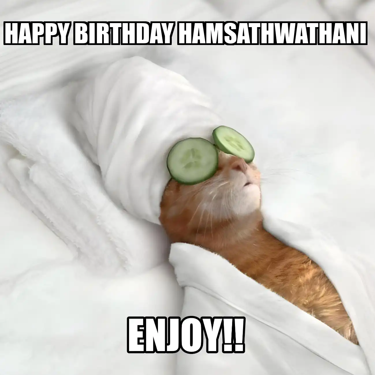 Happy Birthday Hamsathwathani Enjoy Cat Meme