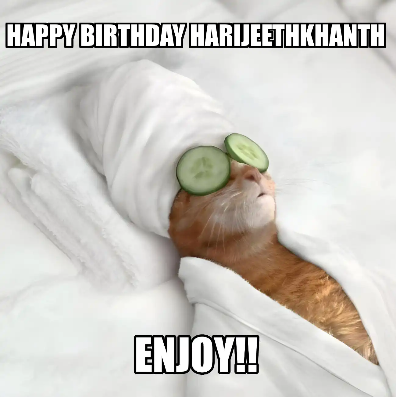 Happy Birthday Harijeethkhanth Enjoy Cat Meme