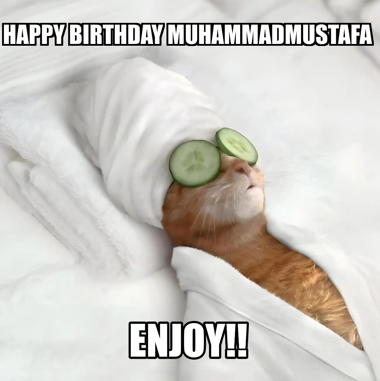 Happy Birthday Muhammadmustafa Enjoy Cat Meme