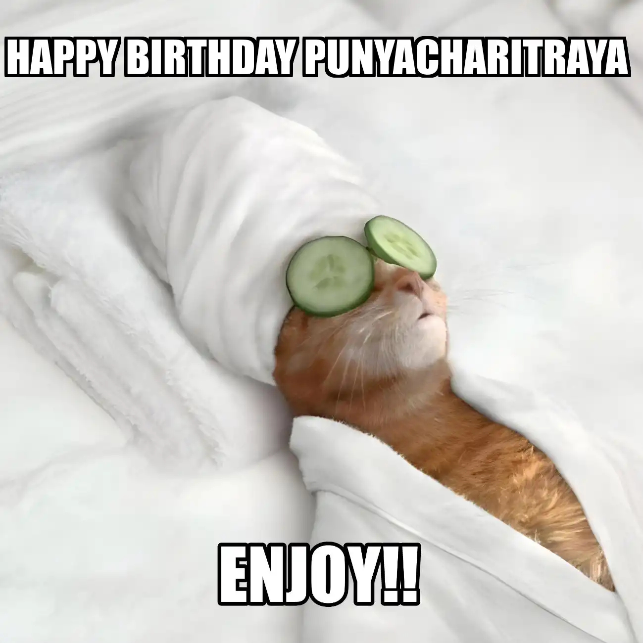 Happy Birthday Punyacharitraya Enjoy Cat Meme