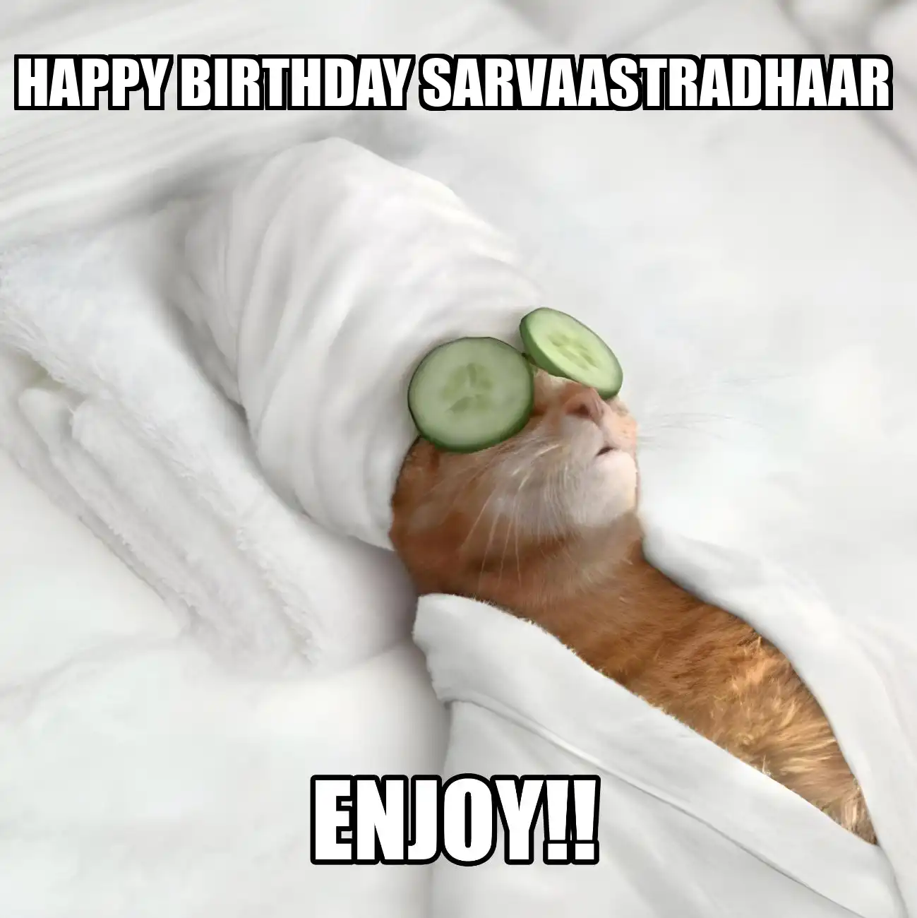 Happy Birthday Sarvaastradhaar Enjoy Cat Meme