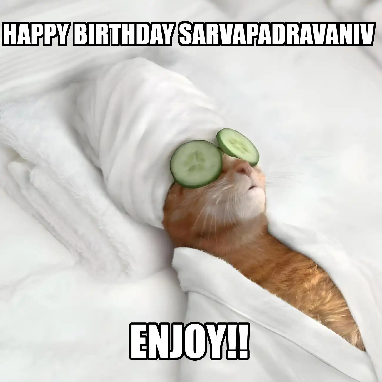 Happy Birthday Sarvapadravaniv Enjoy Cat Meme