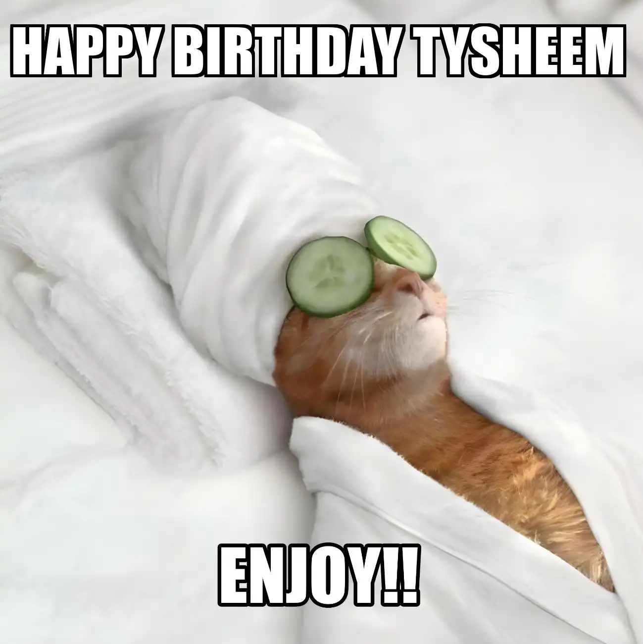 Happy Birthday Tysheem Enjoy Cat Meme