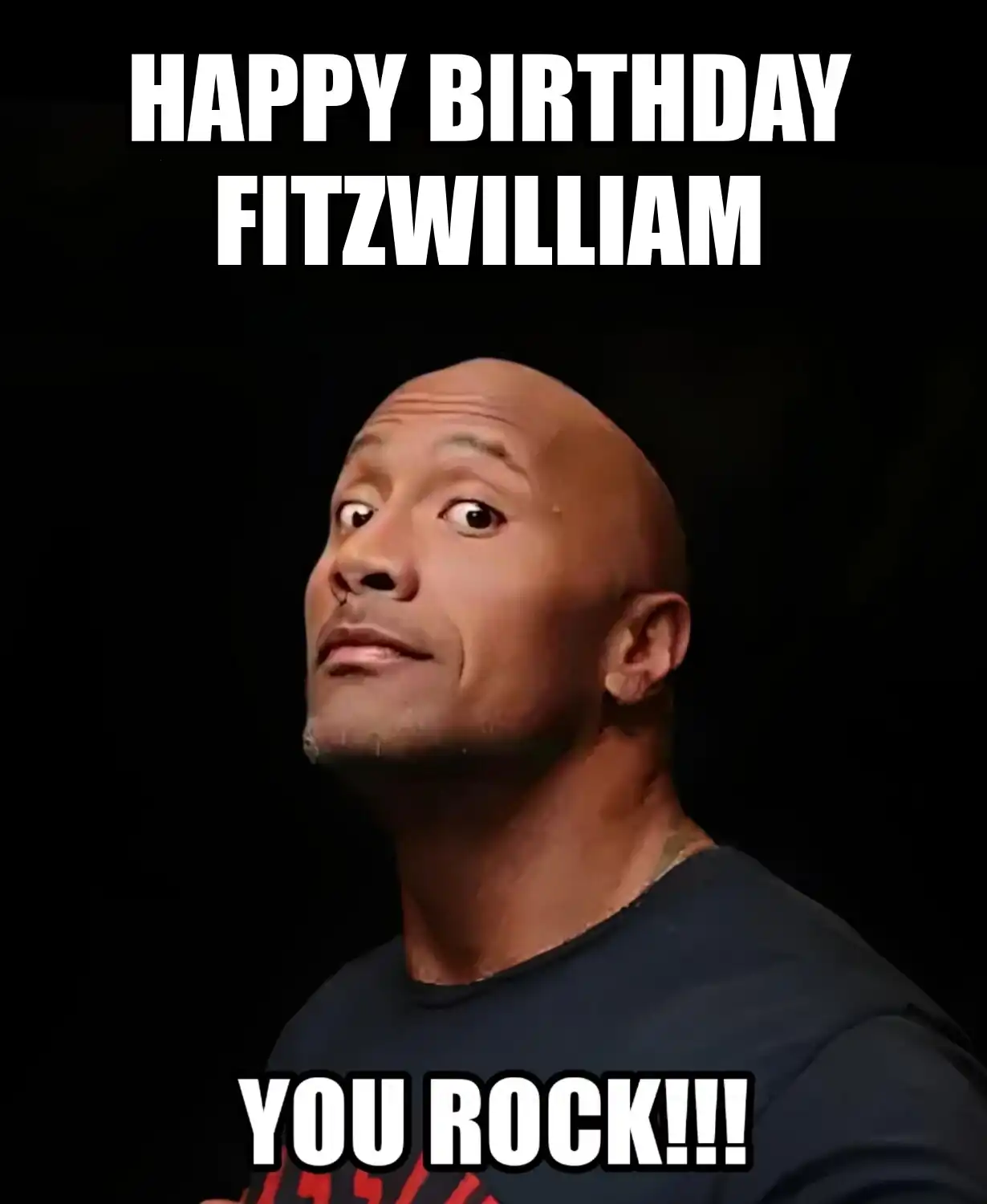Happy Birthday Fitzwilliam You Rock Meme
