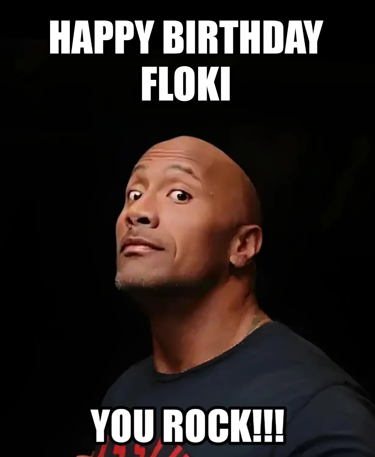 Happy Birthday Floki You Rock Meme