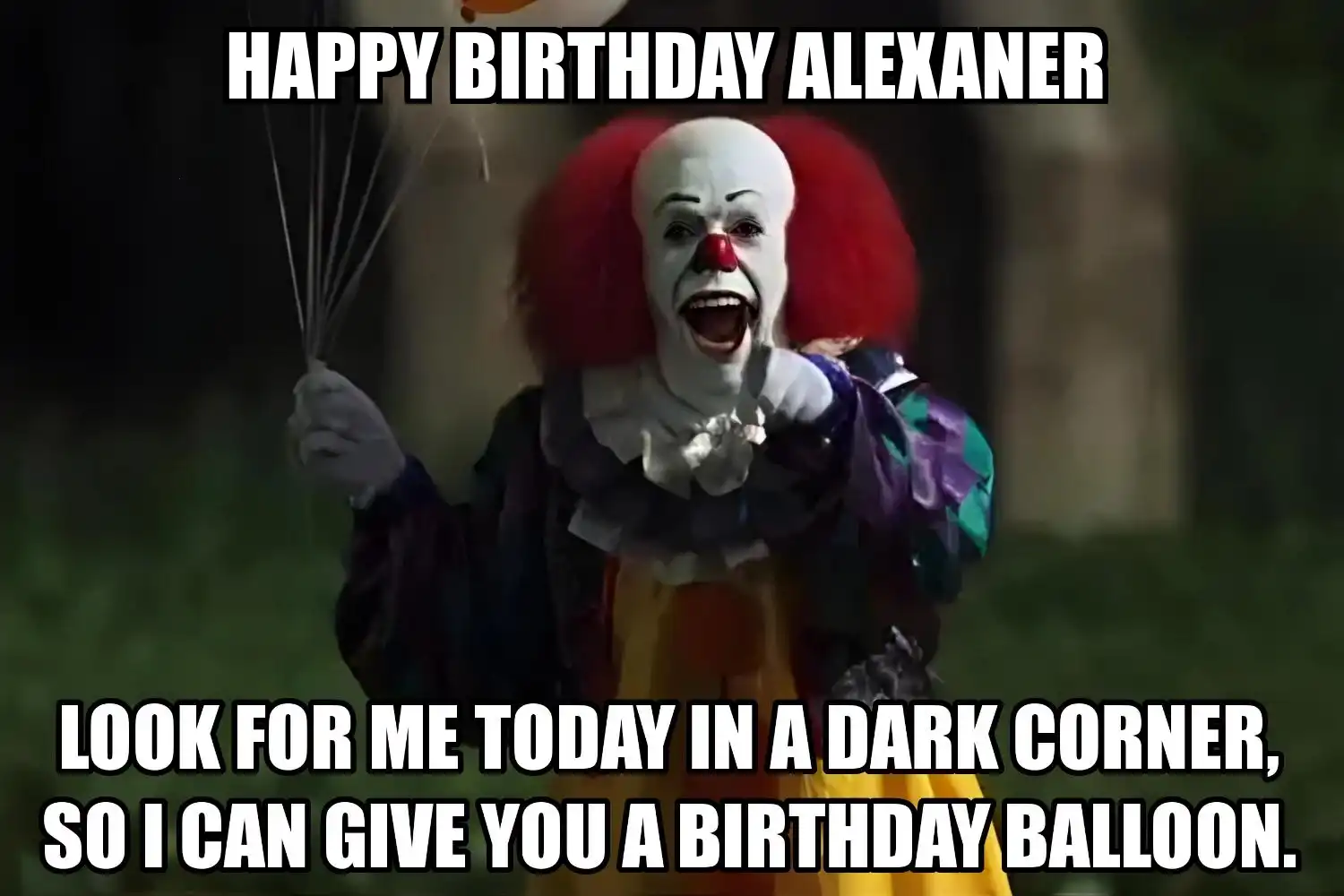 Happy Birthday Alexaner I Can Give You A Balloon Meme