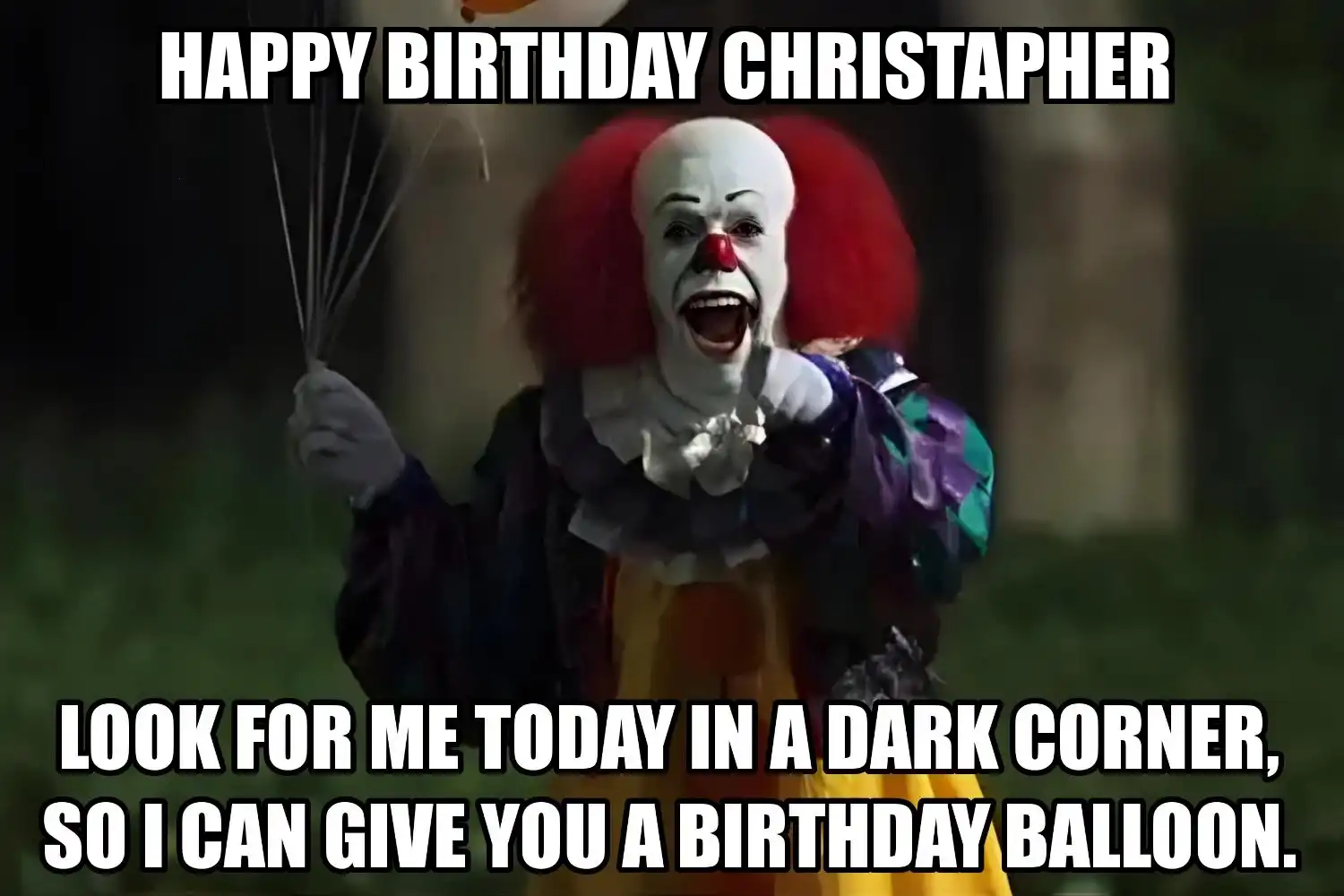 Happy Birthday Christapher I Can Give You A Balloon Meme
