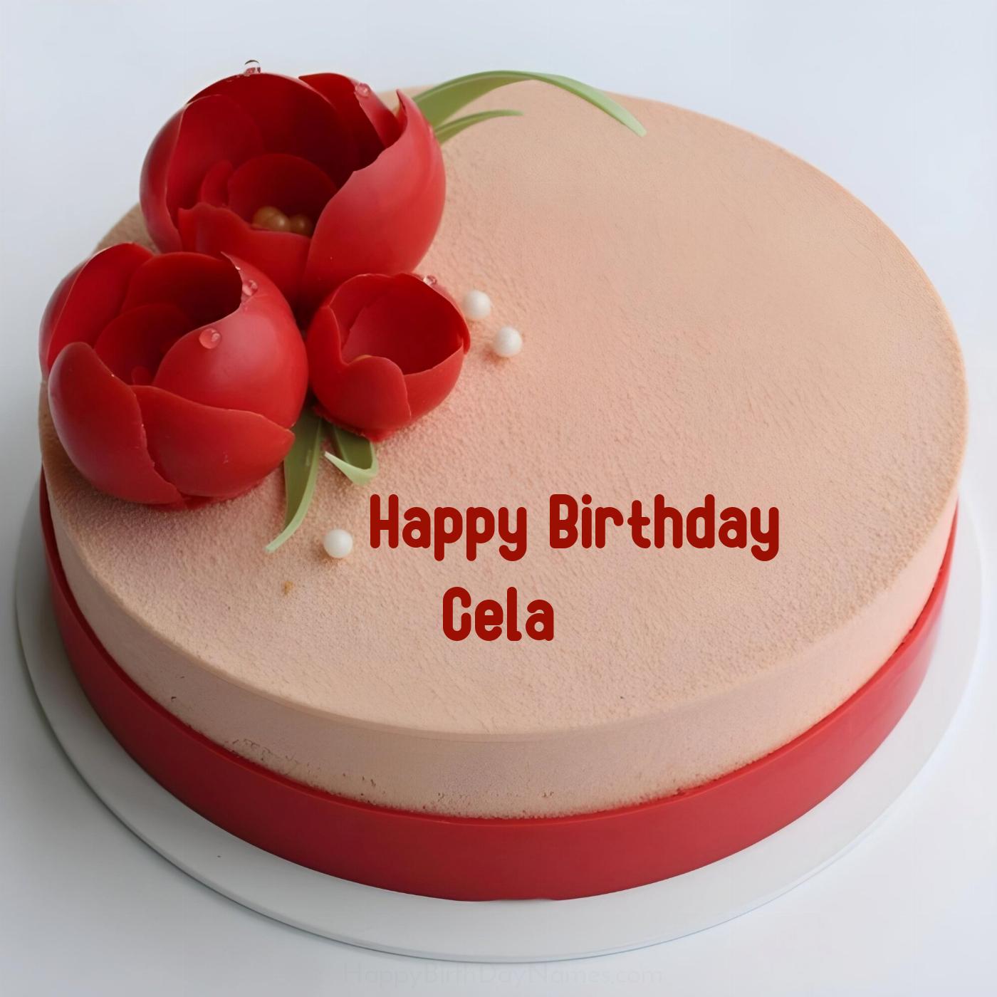 Happy Birthday Cela Velvet Flowers Cake